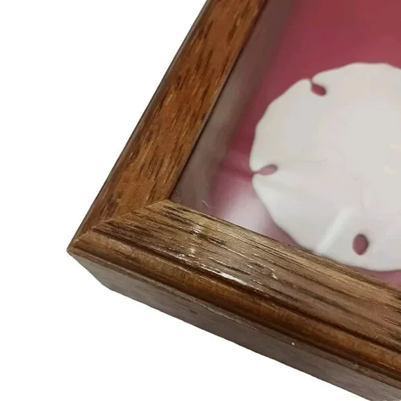 VNT Legend Of The Sand Dollar Maplewood Frame RED Shadowbox Decor Art Coastal